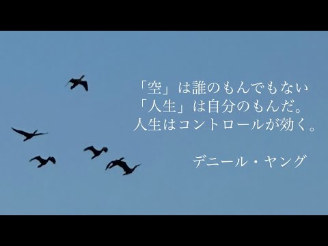 僕の1ヶ月をOasisのWhateverに乗せて