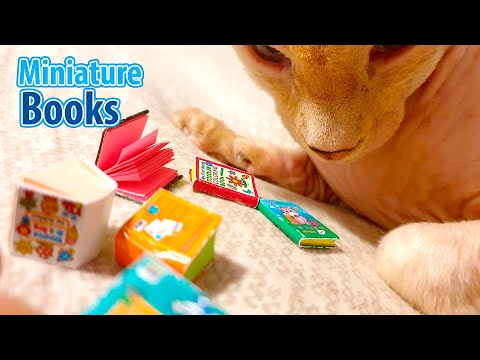 DIY Realistic Miniature tiny books | DollHouse | How to make !