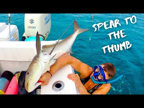 FREE DIVING FOR COBIA INJURY | SCOUTING NEW SPOTS