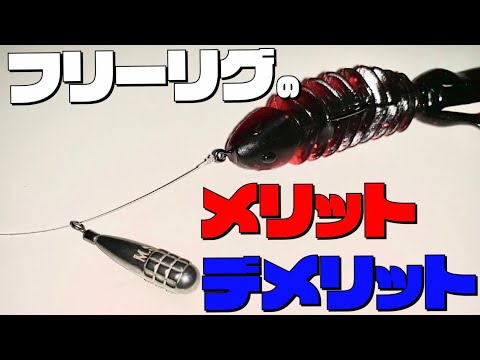 【バス釣り】コレを見ればフリーリグ丸分かり！！