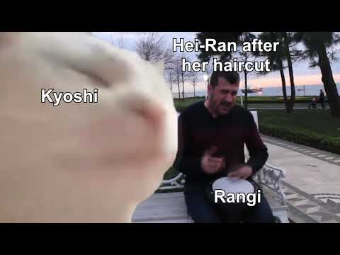 Short summary of The Shadow of Kyoshi (2020)