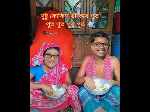 দুষ্টু কোকিল ডাকেরে পুত পুত পুত পুত পুত #newsong #shortvideo #everyone