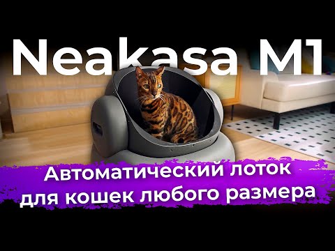 Обзор автоматического туалета для кошек Neakasa M1