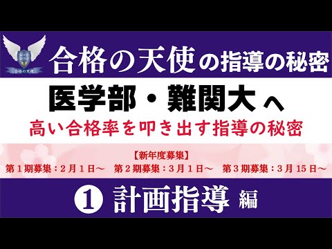 医学部・難関大へ驚異的合格率を叩き出す合格の天使の指導の秘密｜計画指導編