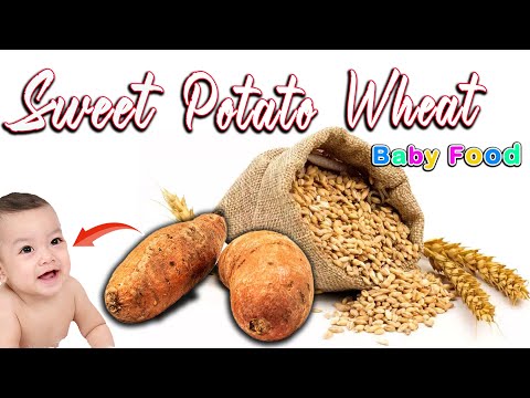 Sweet Potato Wheat Baby Food || 6month Plus Baby food || Sweet Potato Puree for Babies || Homemade