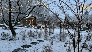 December Garden Tour & Amaryllis Holiday Home Tour😍🎄🌸