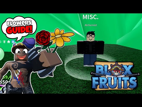 How to get Race V2 Flower Locations Guide - Blox Fruits