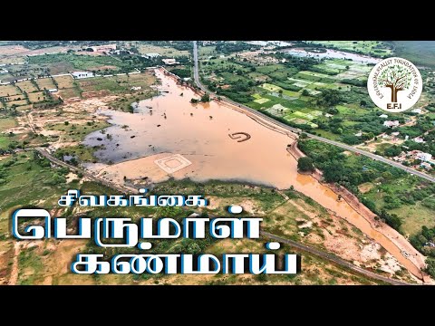 Sholapuram Perumal Kanmai from Sivagangai. Water Conservation in rural Tamil Nadu.