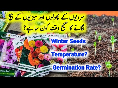 When To Start Winter Seeds/Winter Flowers، Vegitable Seeds In Pakistan/Best Time for Winter Seeds