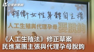 《人工生殖法》修正草案 民進黨團主張與代理孕母脫鉤｜20241202 公視中晝新聞