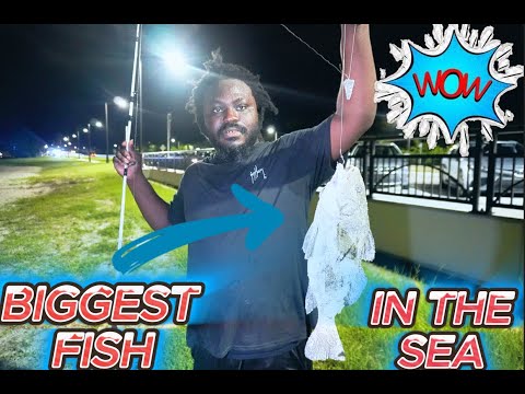 CAUGHT THE BIGGEST FISH IN THE SEA!!!!! (MUST WATCH)