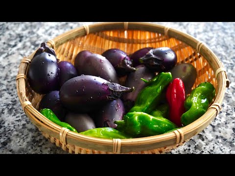 TOMATO EGGPLANT CURRY With My Home Grown Eggplants | Tomato Baingan Curry