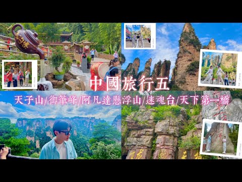 中國旅行五 天子山/御筆峰/天女散花/阿凡達懸浮山/百龍天梯/迷魂台/天下第一橋