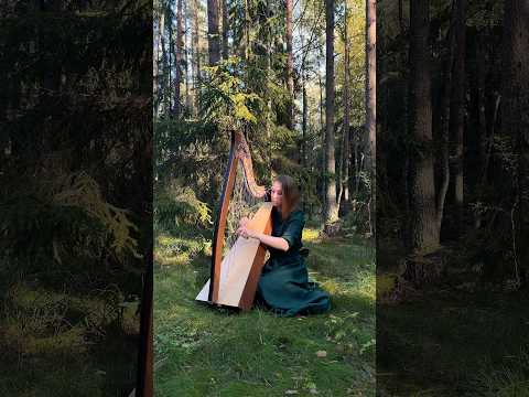 Лесная нимфа #leverharp #celticharp #harp #арфа  #леверснаяарфа