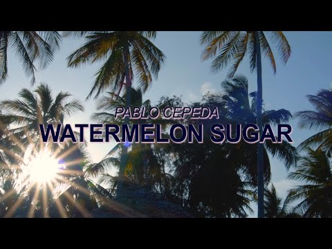 Harry Styles – Watermelon Sugar (Bossa Nova Cover – Pablo Cepeda) ☀️ Summer Songs