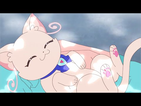 【AMV/MAD】わんだふるぷりきゅあ！「ほわいとDestiny」