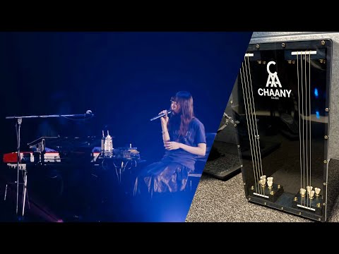 Aimer「蝶々結び」 from "night world" Live Cajon Cover (with lyrics)