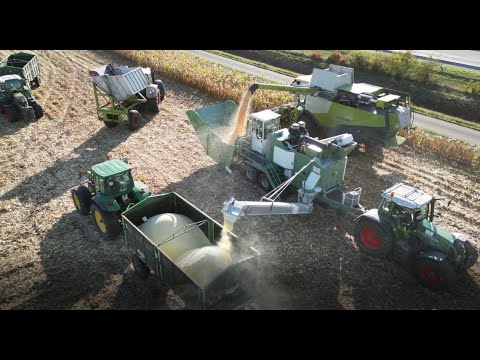 Maisdreschen - CCM 2022 mit 2 Claas Lexion 750 und Überladewagen im südlichen Emsland