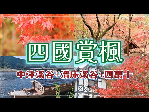 【日本旅遊】四國高知+愛媛自駕賞楓｜中津溪谷｜滑床溪谷｜四萬十川沉下橋｜景點+租車+住宿介紹