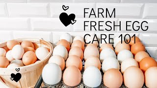 How to Clean Farm Fresh Eggs!