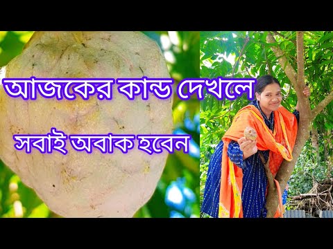 আজকে সারাদিন কি কি ভিডিও বানালাম #trending #funny #newvlog #nishebd