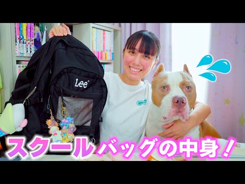 スクールバッグの中身を公開！毎日持って行ってる物は何？【バッグの中身】 (My School Bag)