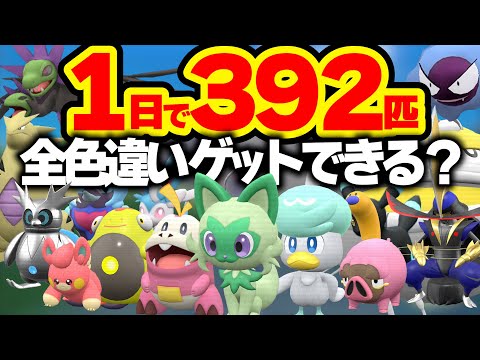 【検証】ポケモンYouTuberが声をかければ1日で色違い図鑑は完成できるのか？【ポケモンSV】