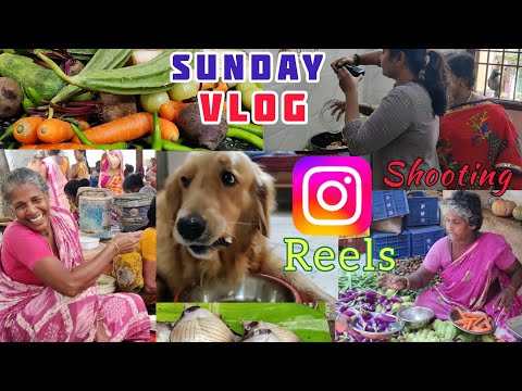 Instagram - How I Shoot Reels? Sunday Vlog with Amma | Bharathicooks #vlog #reels