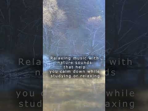 Relaxing Music with Water Sounds