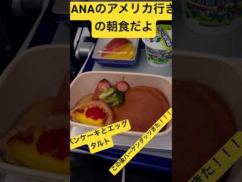 LAX行き朝食サービス#観光 #japan #アメリカ #ロサンゼルス #ひこうき #飛行機