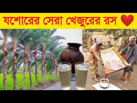 যশোরের সেরা খেজুরের রস | Khejurer Rosh | Jessore | Rupkothaar Golpo