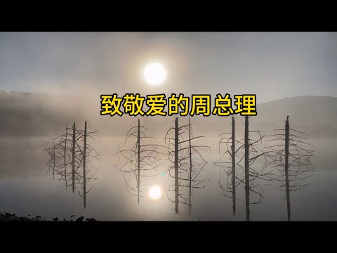 致敬爱的周总理#为什么 #人生理想#爱国