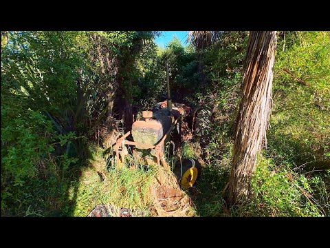 Free Tractor Dozer Abandoned in the woods for 20 years. Will it start??