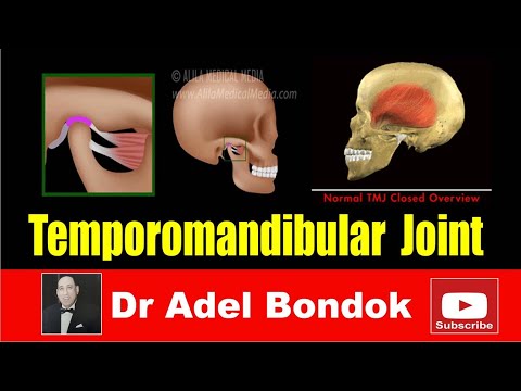 Temporomandibular Joint, Dr Adel Bondok