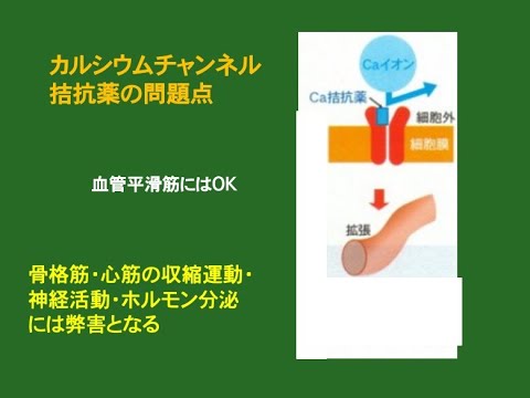 高血圧の治療法を検証する