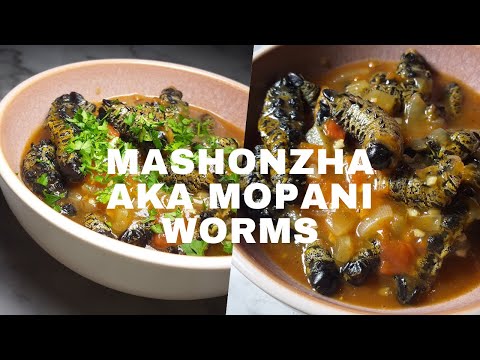 Mashonzha aka Mopani worms recipe|chef