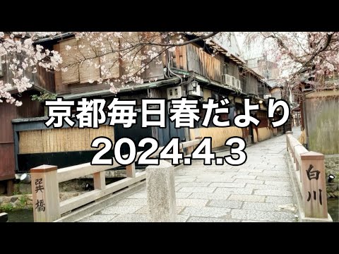 【2024.4.3】京都春の訪れを毎日更新中