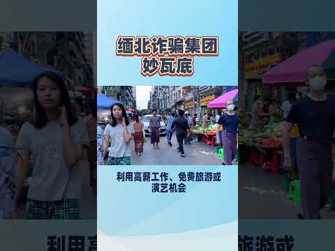 缅北诈骗集团妙瓦底#缅北  #诈骗集团#妙瓦底