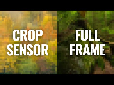 Crop Sensor OR Full Frame? Can You Even Tell?