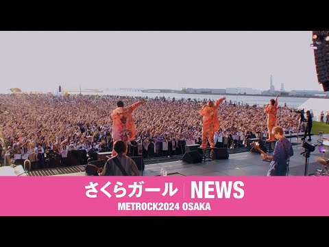 NEWS – さくらガール [from METROCK2024 OSAKA]