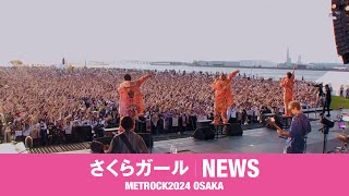 NEWS – さくらガール [from METROCK2024 OSAKA]