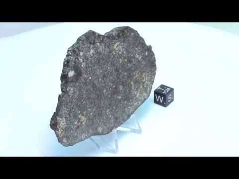 Meteorite NWA 869 - 60.8g