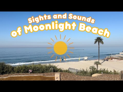 Sights and Sounds of Moonlight Beach (Ocean ambiance)