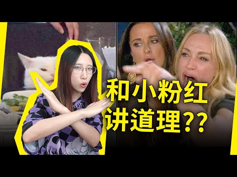 小粉红真的能被说服吗？和立场不同的人交流有意义吗？