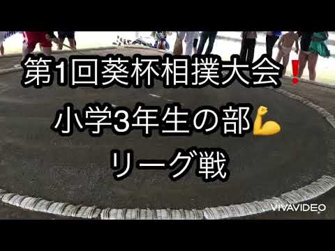 【わんぱく相撲】第1回葵杯相撲大会😃小学3年生リーグ戦💪2021.3.28(日)【葵相撲道場】