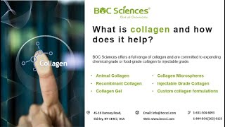 What is Collagen and How Does It Help? - Benefits of Collagen - BOC Sciences