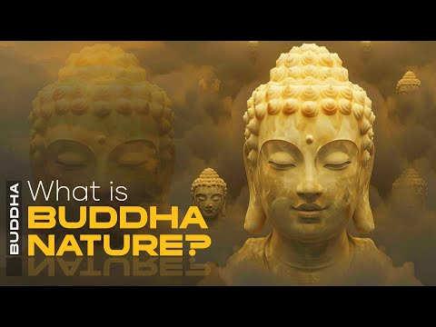 What is Buddha Nature?