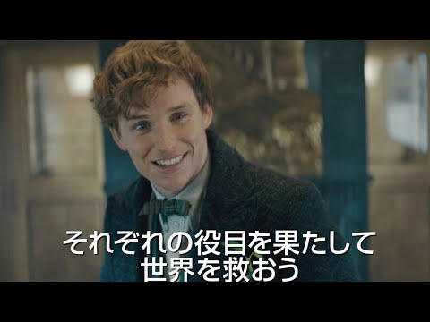 【4/8公開『ファンタスティック・ビーストとダンブルドアの秘密』日本版予告編】