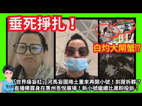 垂死掙扎！「世界級妄紅」河馬妄圖捲土重來再開小號！真係同二五割蓆拆夥？｜痛風餐白灼大閘蟹｜姣婆守唔到寡 直播曝露身在惠州吾悅廣場｜再食回力鏢！大號收三張紅牌收檔 新小號繼續比黑粉投訴！｜何伯何太萬聖節