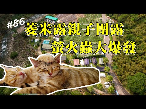 露營vlog▎微笑山妍│菱米露親子團露│人品太好螢火蟲大爆發│親子營區│雨棚營區 .#86